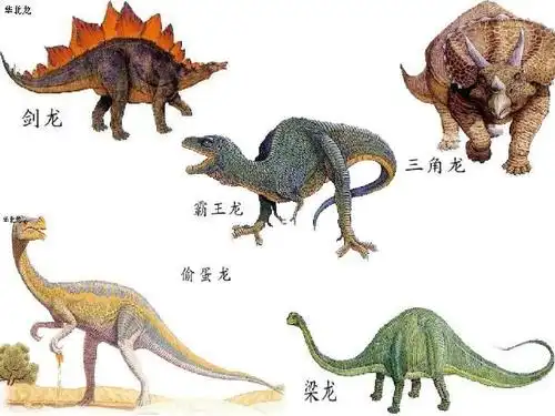 人教版小学语文课件《恐龙的灭绝》ppt