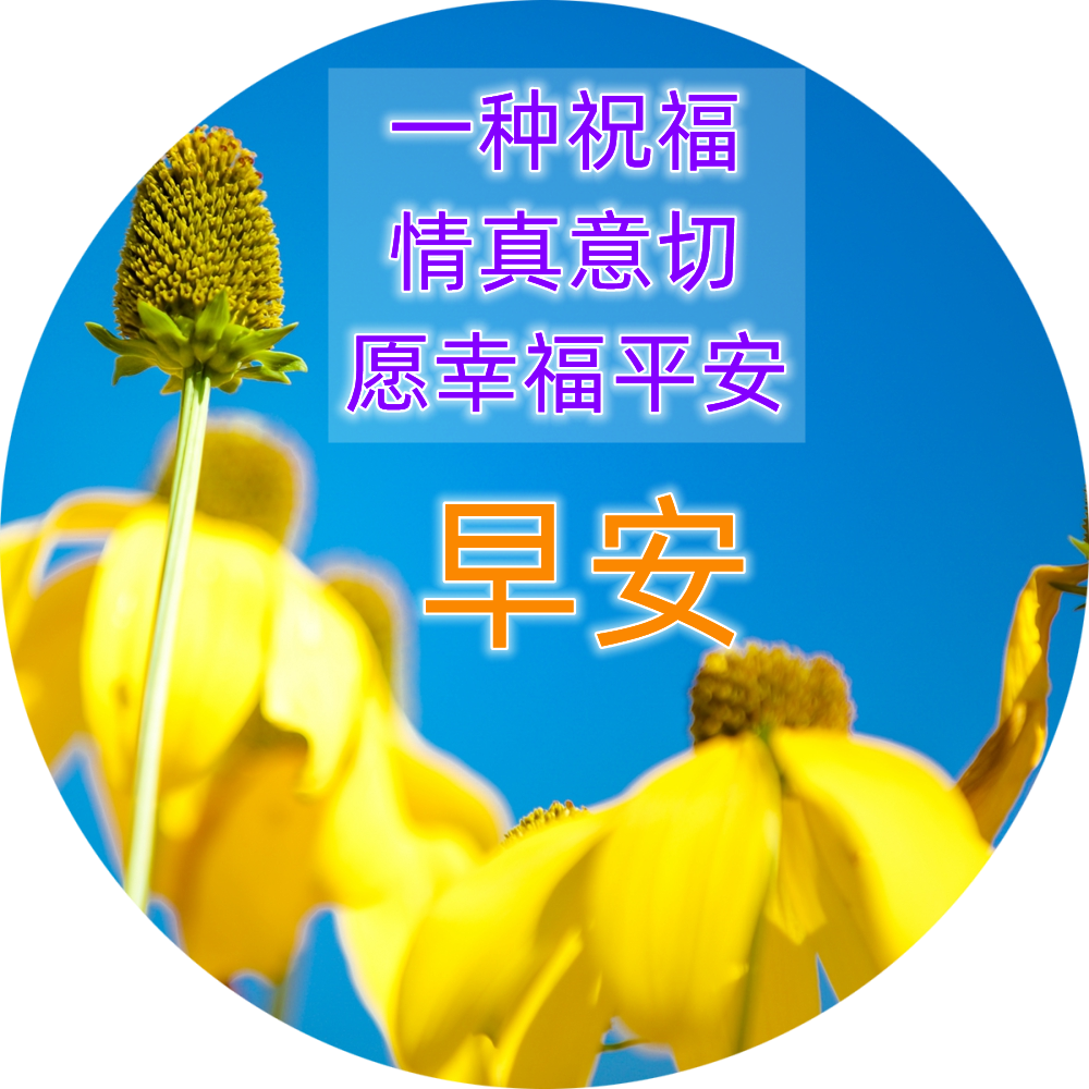 早上好问候语 最新早上好精致图片 最新微信最新带字早上好图片