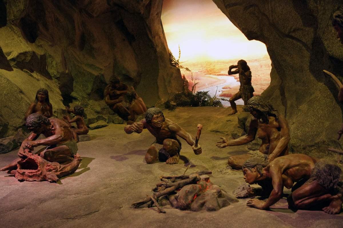 原始人生活场景遗址中发现过的动物遗存(主要是骨头,角,壳等)有:鬣狗