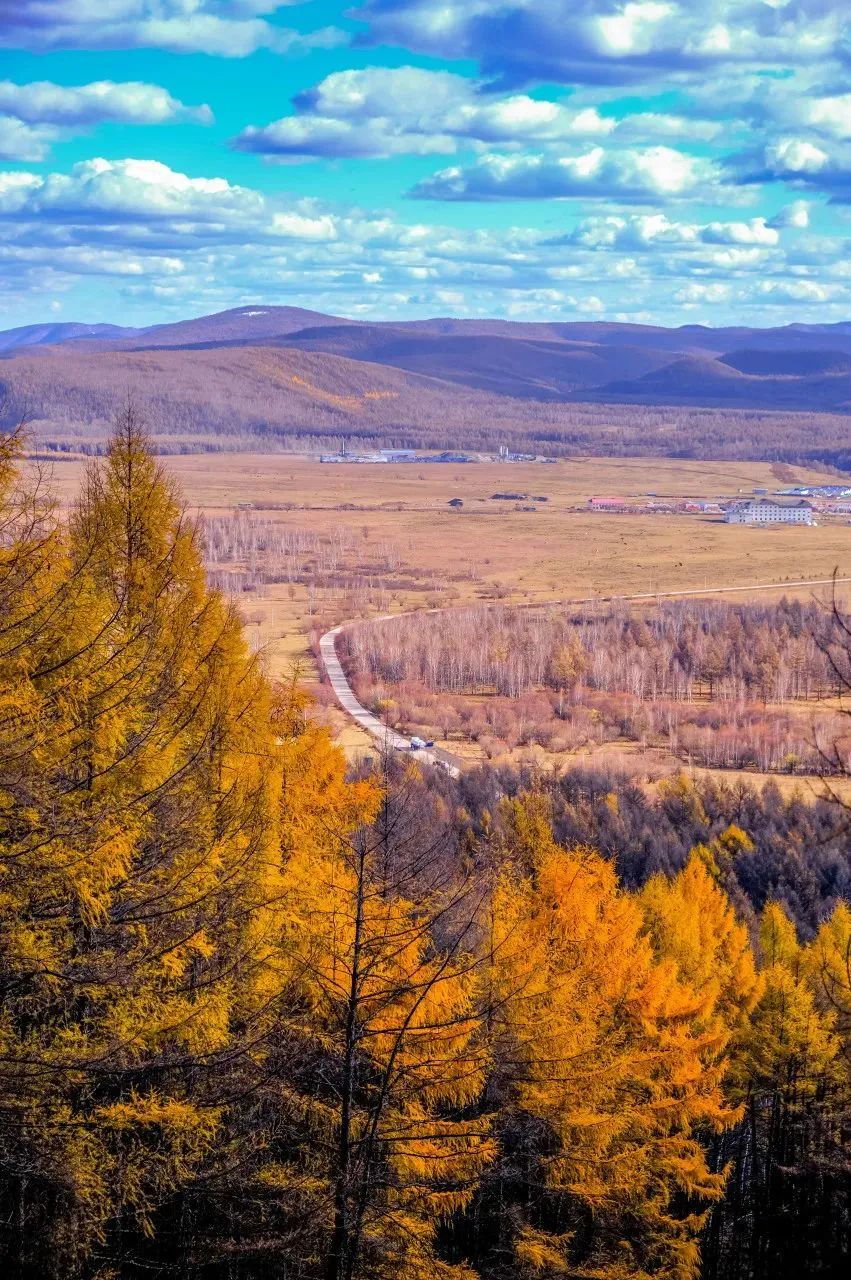一定要在秋天去一次阿尔山!-内蒙古旅游-内蒙古新闻网