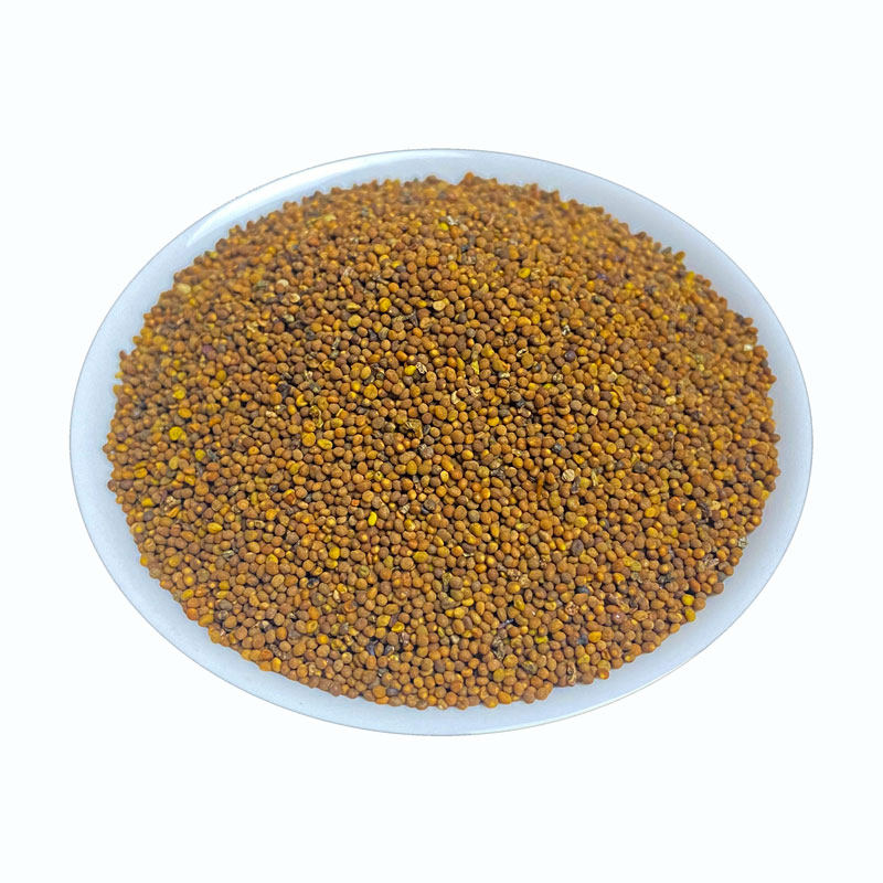 菟丝子深山野生500g包邮中药材茶淫羊藿女贞粉兔其他药食同源食品