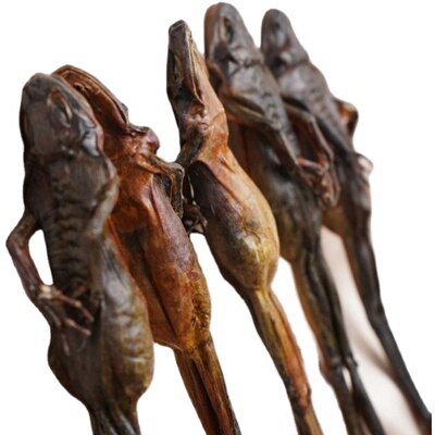 同仁堂精选特级野生长白山东北整枝林蛙干蛤蟆10只雪蛤干