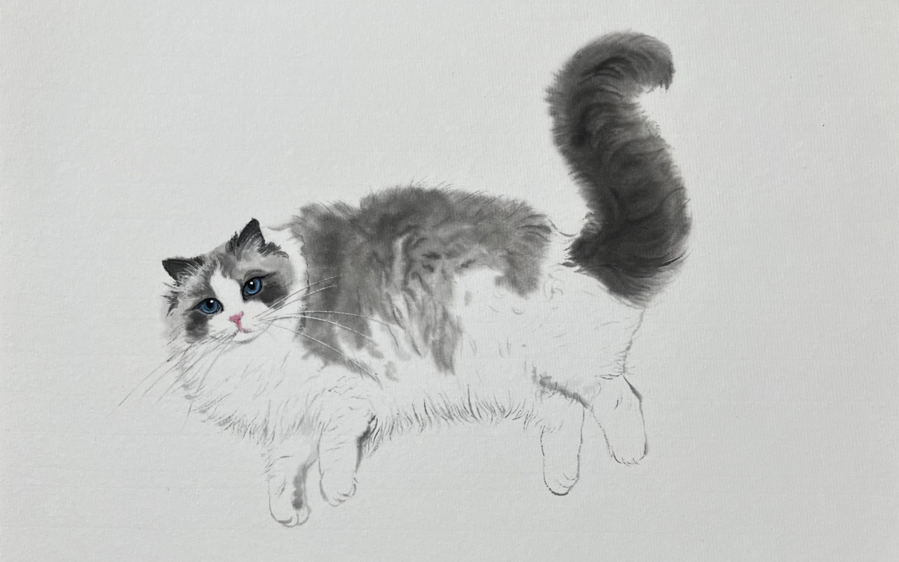 水墨画猫咪 国画猫咪的画法