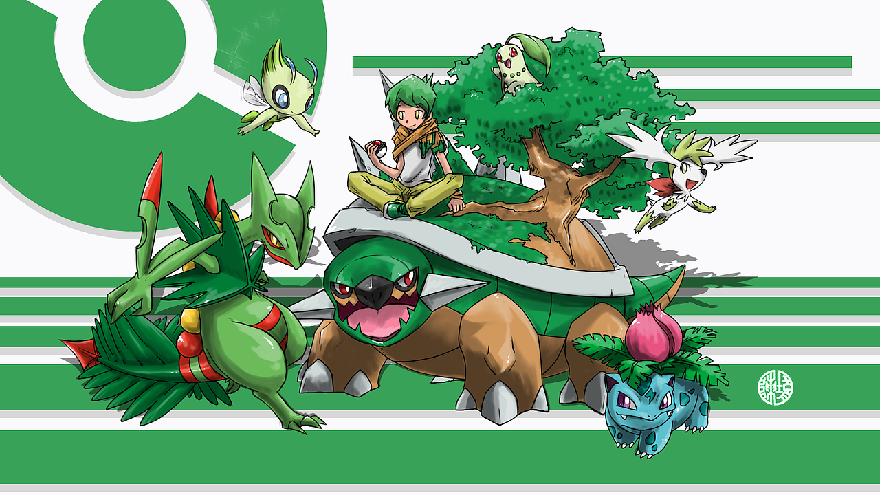 mega蜥蜴王,雪拉比,土台龟,菊草叶,妙蛙草,天空雪米