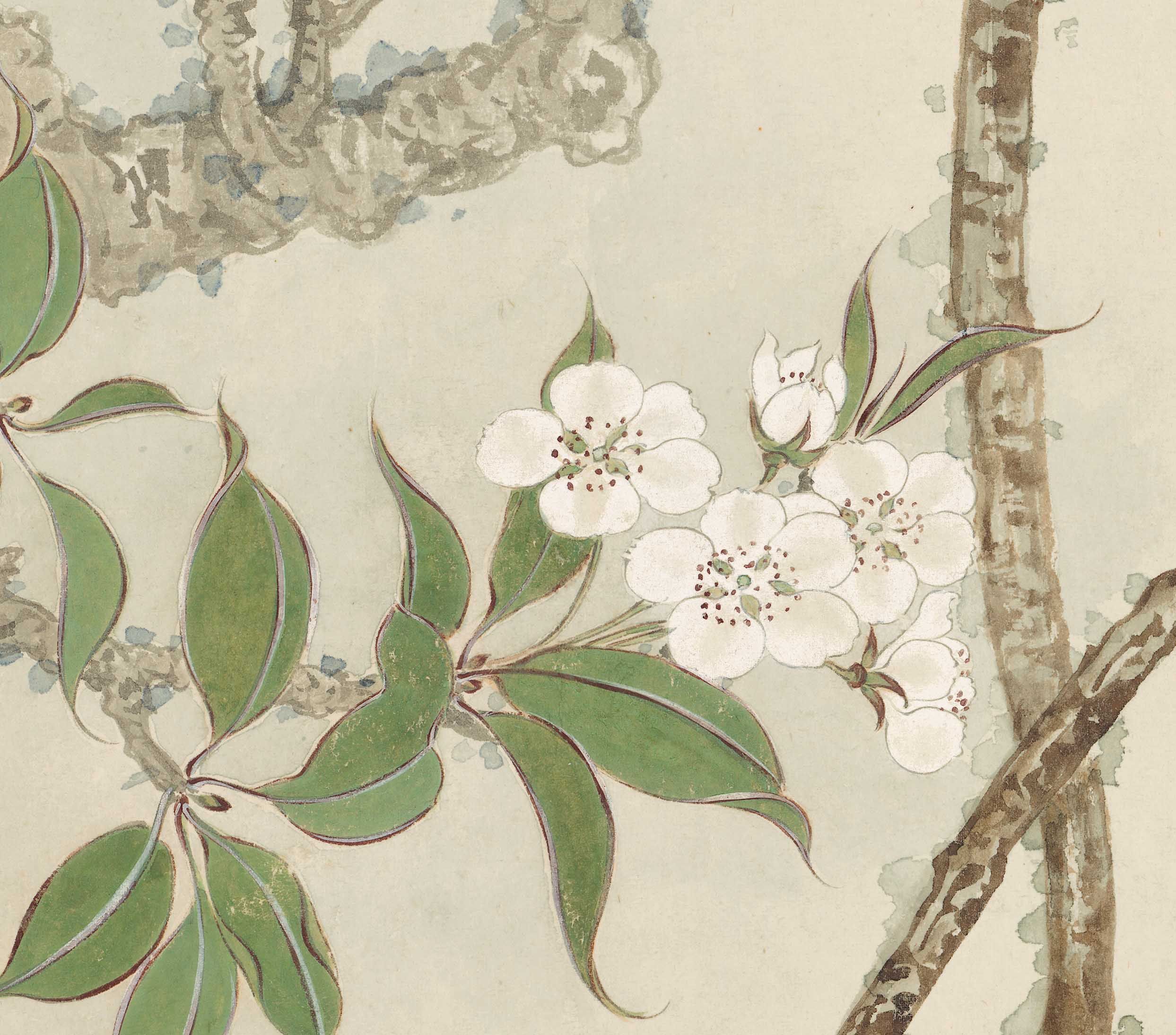 张大千梨花山雀工笔花鸟国画禅意简约中国国风国画