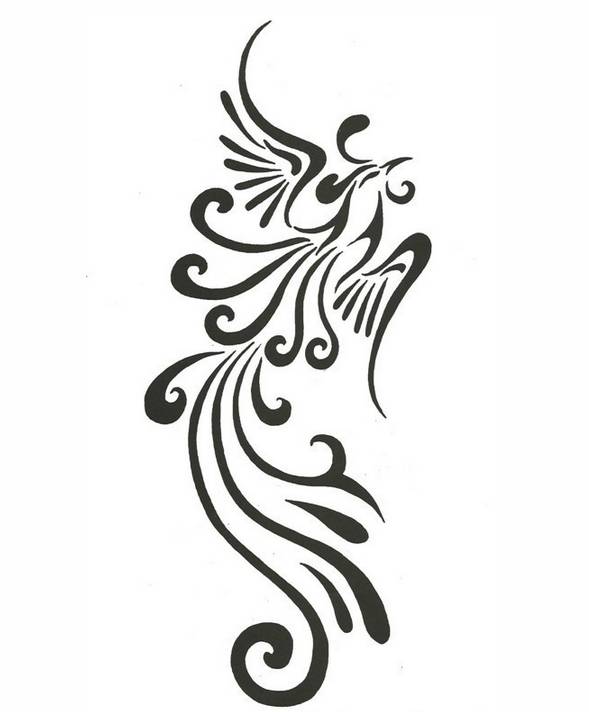 中国传统图腾文化之凤凰与老虎