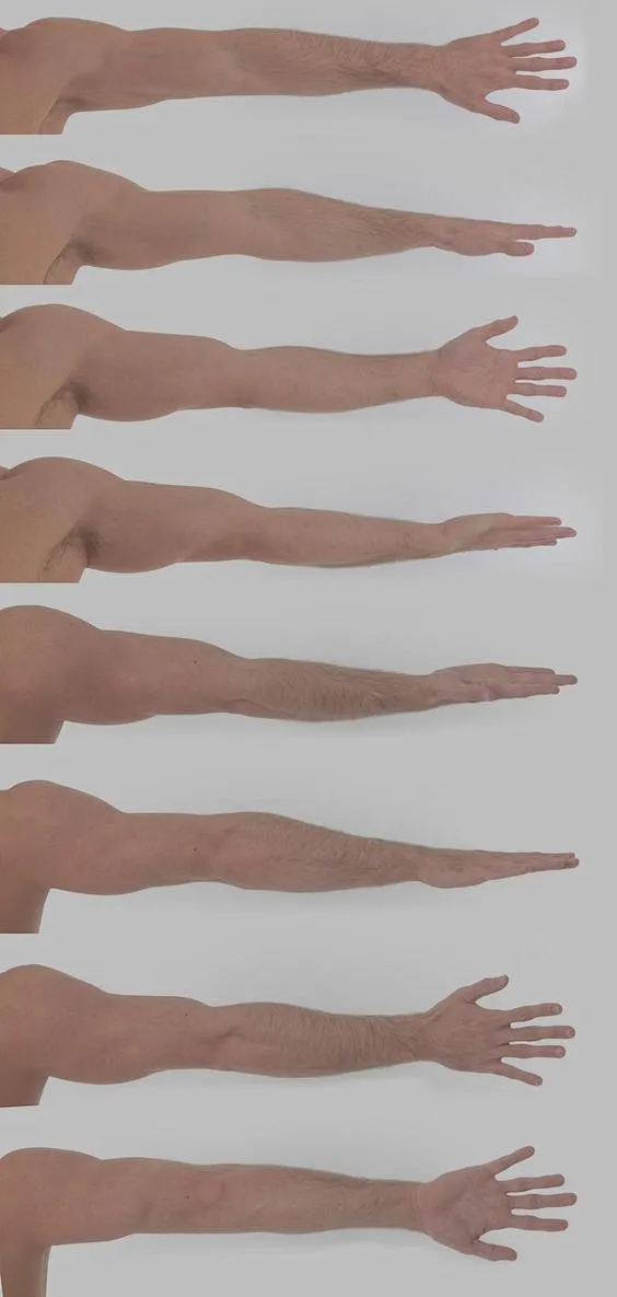 晚安你好从昵称好难起2333转采于2021-08-17 09:56:12胳膊人体教程