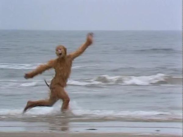 " "《老人与海》?" "《西游记》.