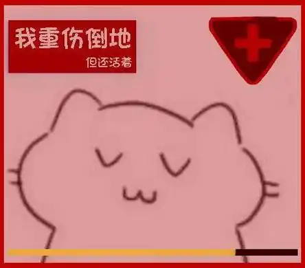 整活,猫猫血压表情包