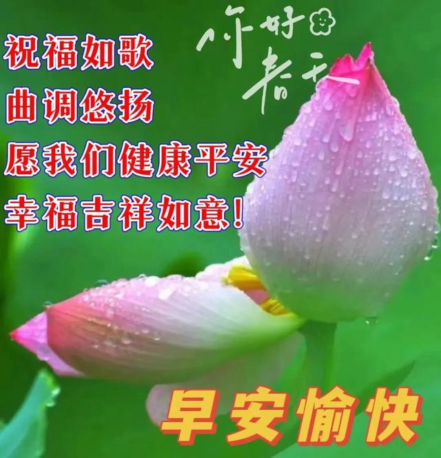 今日最新早上好祝福语,幸福平安,吉祥如意送给你!早安