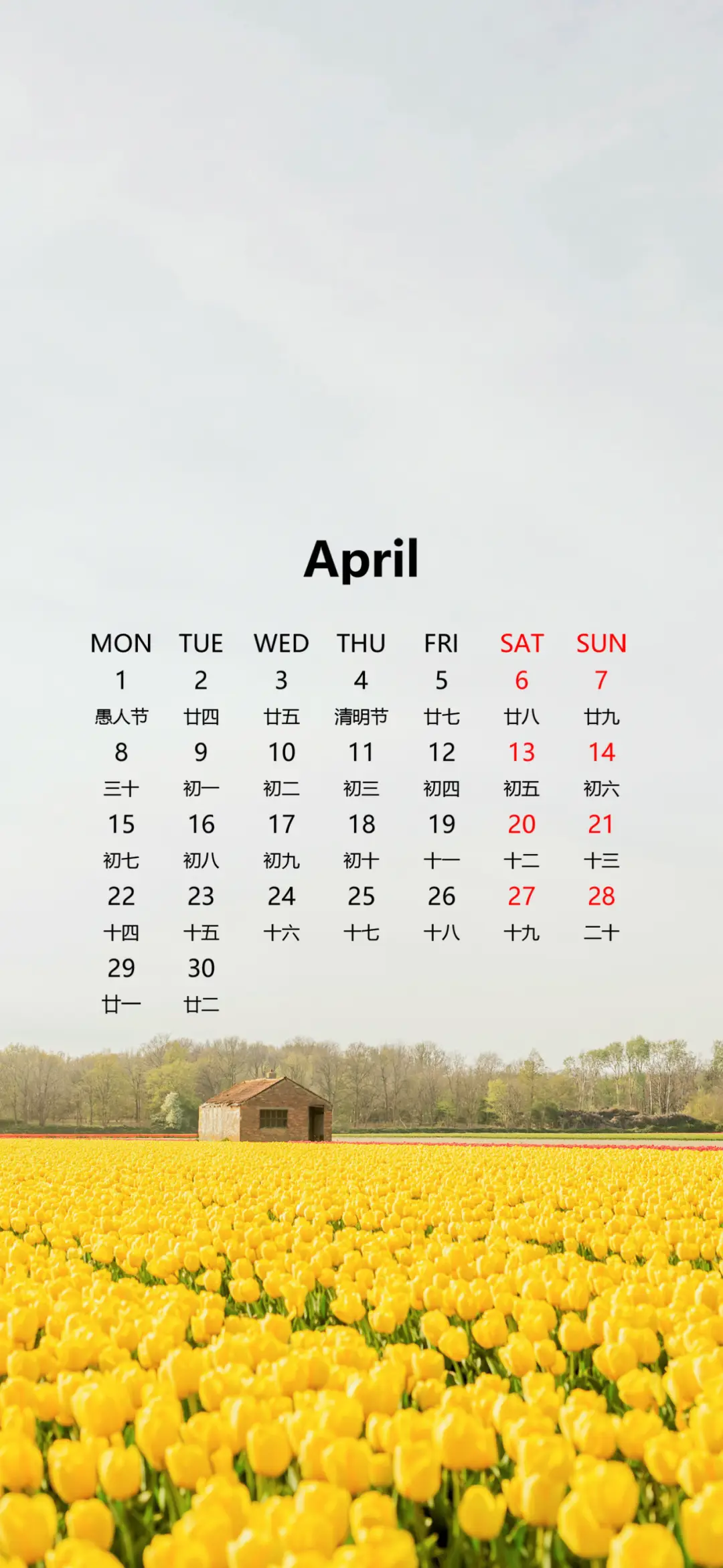 4月日历壁纸