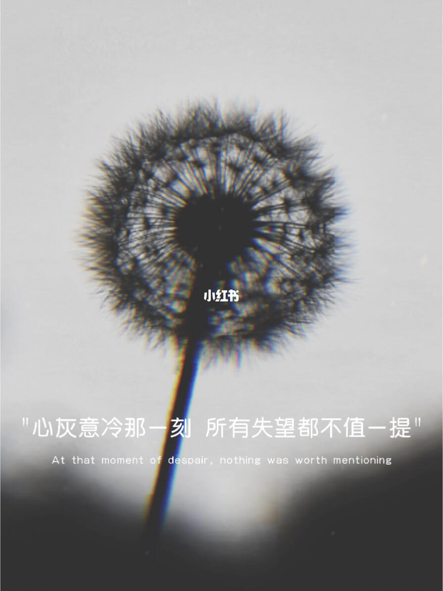 心灰意冷的那一刻所有失望都不一提是
