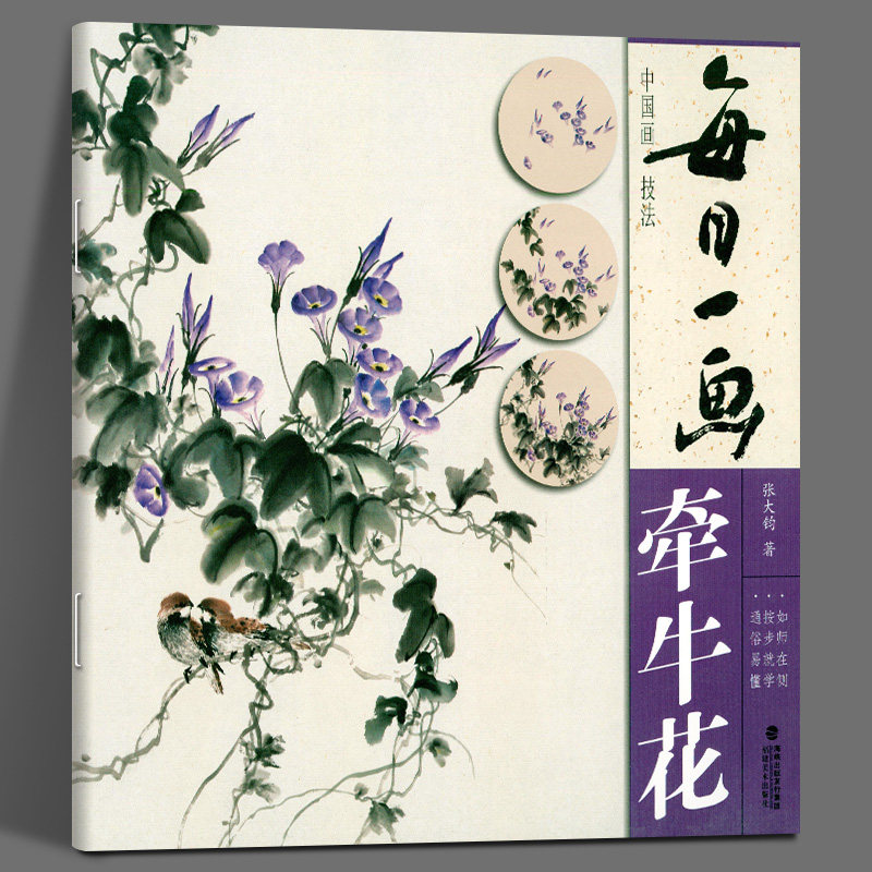 每日一画牵牛花 中国画技法国画入门基础教程书写意水墨画牵牛花册页
