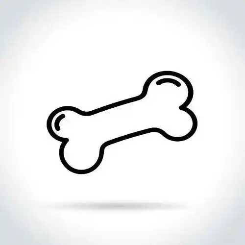 狗骨头图片_狗骨头图片大全_狗骨头图片下载