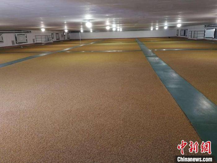 四川建成265个绿色低温粮库 数百万吨粮食进"冰箱"