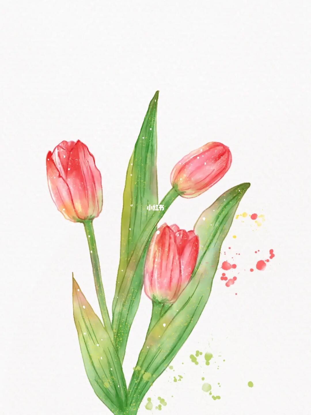 水彩小物郁金香