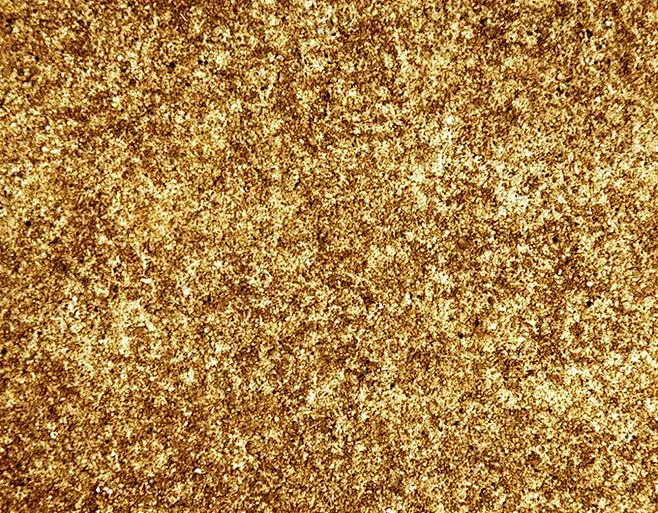 金色黄金纹理背景高清图片