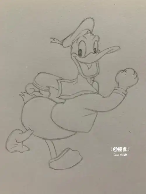 唐老鸭教程来啦