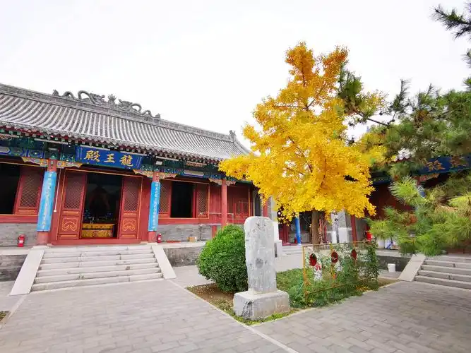 油画院与兴隆郊野公园