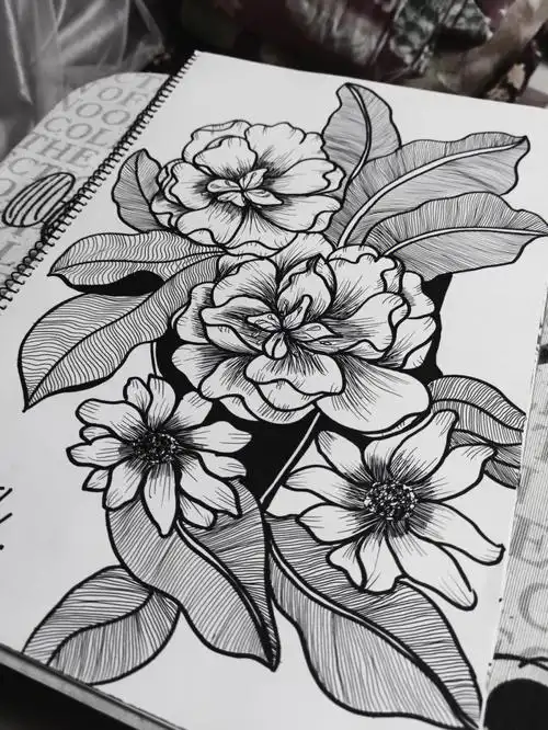 针管笔绘画黑白装饰画花朵内附过程图