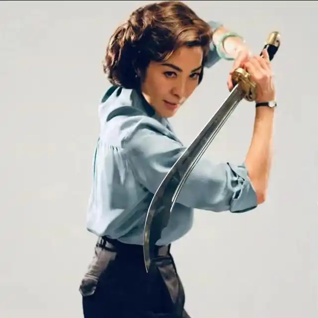 回顾香港影坛红极一时10位女打星个个身手不凡4位是外籍