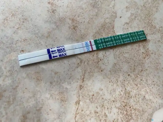 [试管婴儿]看同天移植的姐妹们还都是粉印