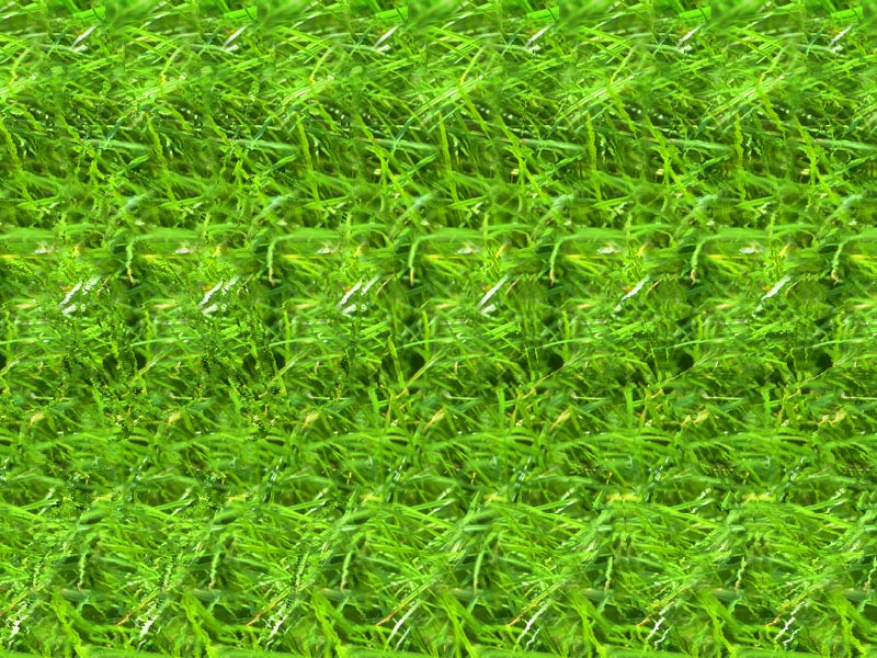 很有趣的三维立体图片全看出来算你狠