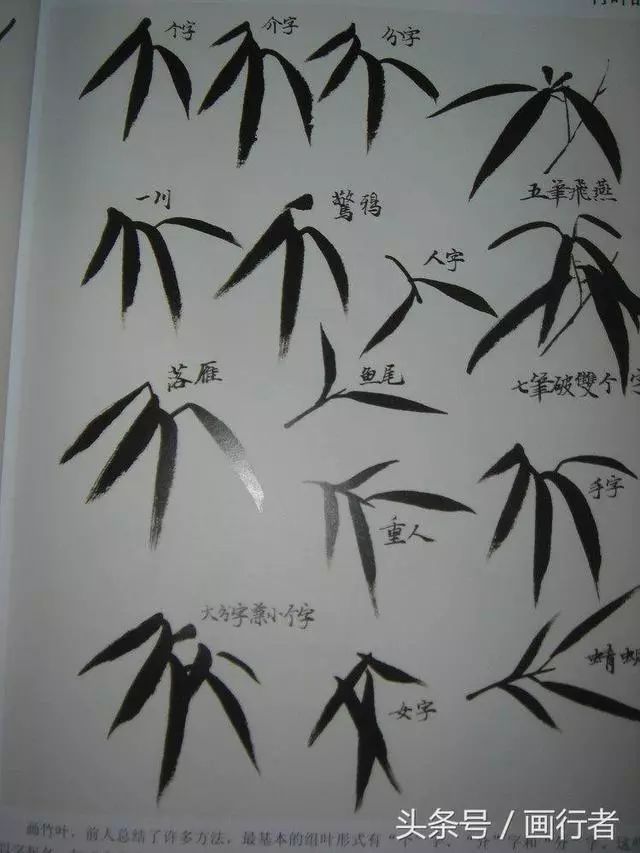 国画水墨画竹子的各种入门技法画法步骤图文详解