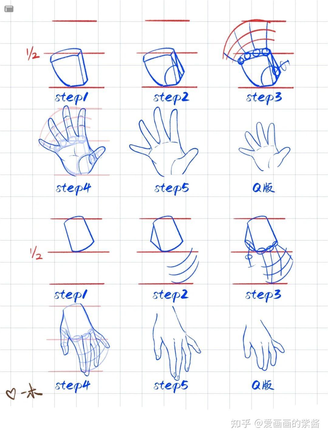 q版手的画法比例可参考以下,绘画时较为肉感.圆润,没有骨干短小可爱.