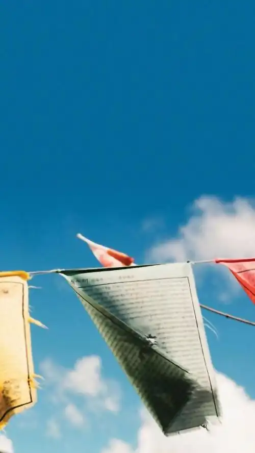 简约森系小清新手机壁纸图片_唯美图片_kanqq个性网手机版