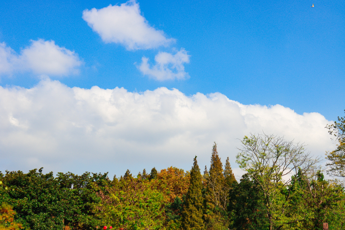 蓝天白云,绿叶红花,大桥江流 - 棒棒张瀚文 - 图虫