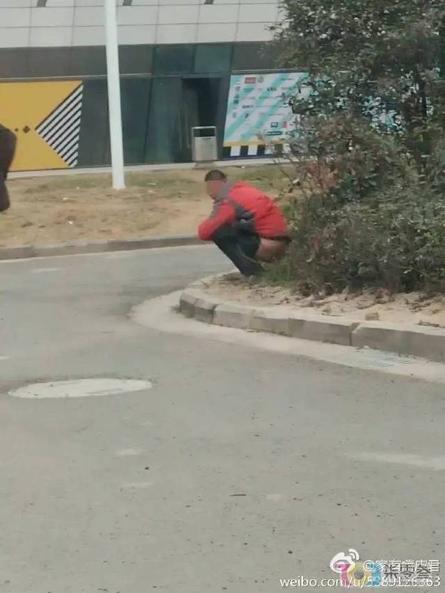 温州街头现拉屎哥,这节操可是碎了一地呀!(图)