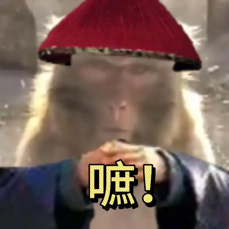 "吗喽们 这就是你明天的样子"#吗喽 #猴子 #表情包 - 抖音