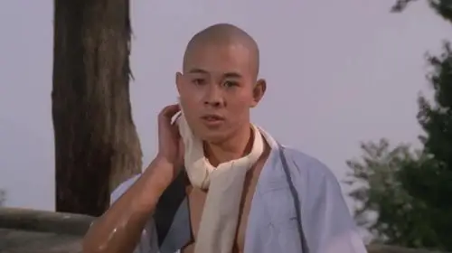 南北少林出道即巅峰李连杰成名之作少林寺打遍天下无敌手