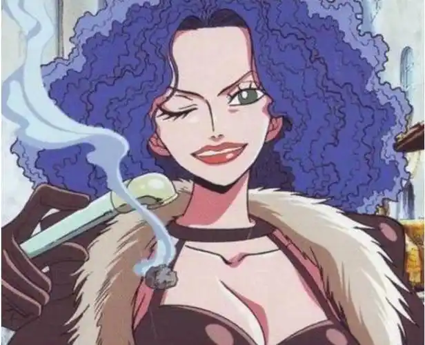 巴洛克工作社(日本漫画《海贼王》中的秘密犯罪公司)_摘编百科