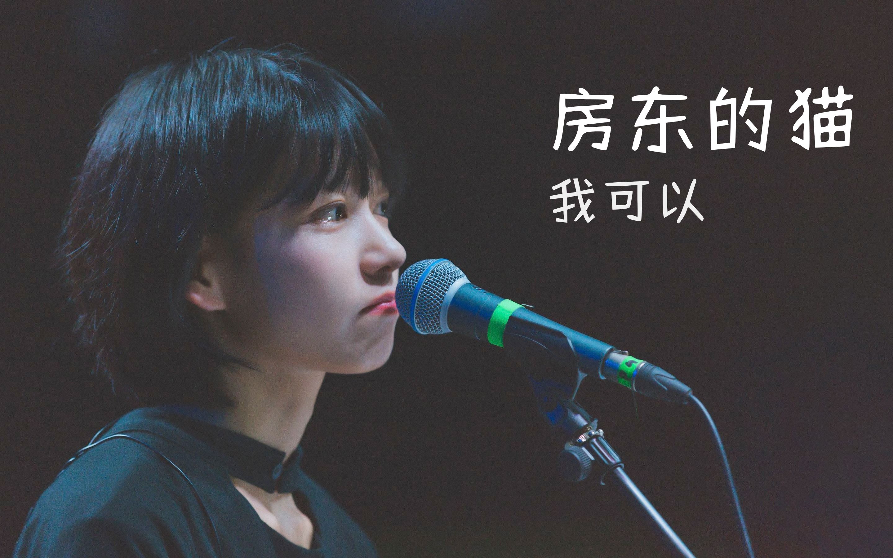 房东的猫我可以歌词版mv在你的背景有我爱你