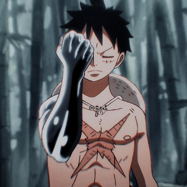 「第43期」动漫头像:海贼王 二次元头像