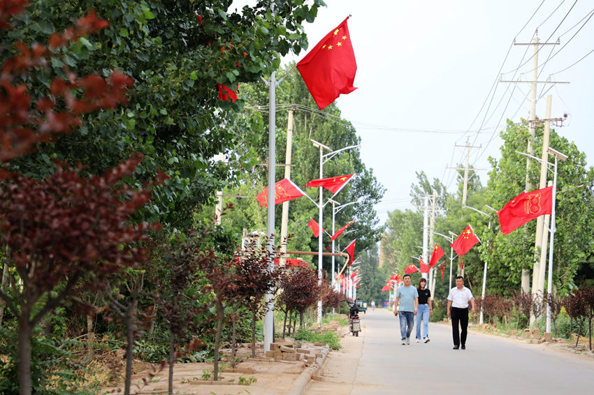 【图片直击】河北平乡:小村庄党旗红