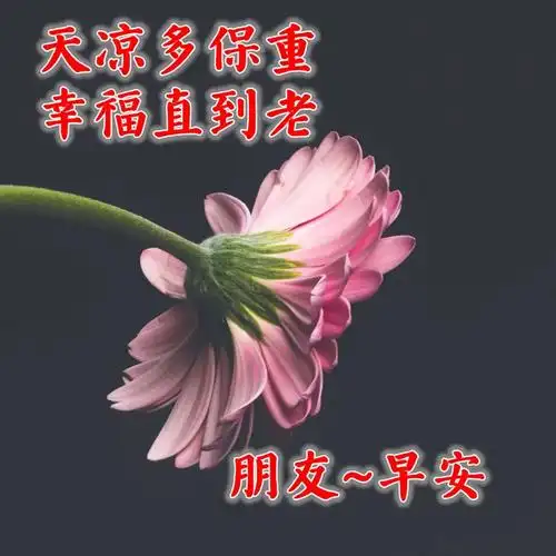 2021年早上好问候语图片表情全集,新的一年最美的早安祝福语带图片