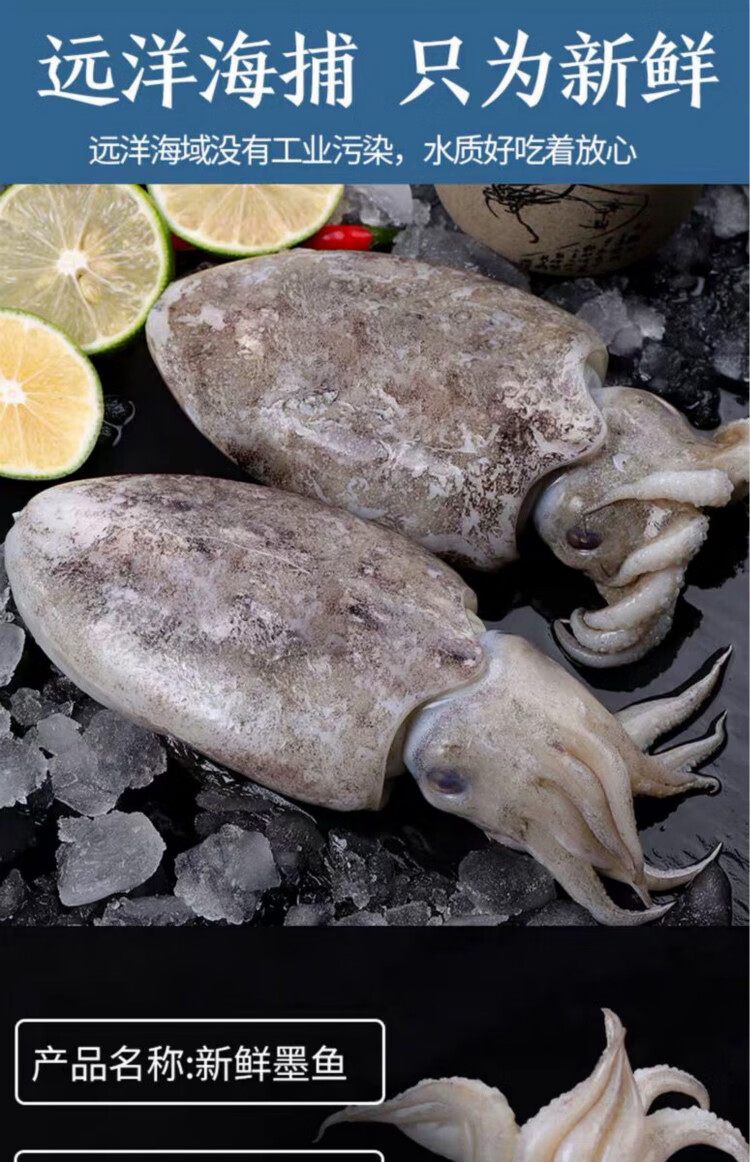 棠鲜生 新鲜墨鱼鲜冻大乌贼大墨鱼大鲜墨鱼墨斗鱼 10斤