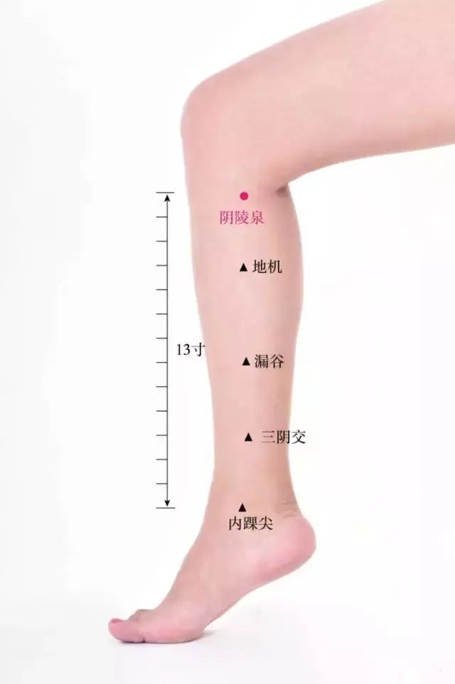 三阴交女人的不老穴延长青春延缓衰老