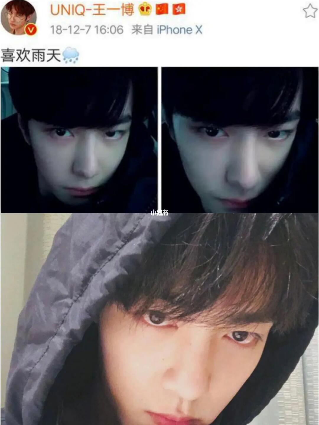 过年了作业要交奶龟要喂你俩都不耽误