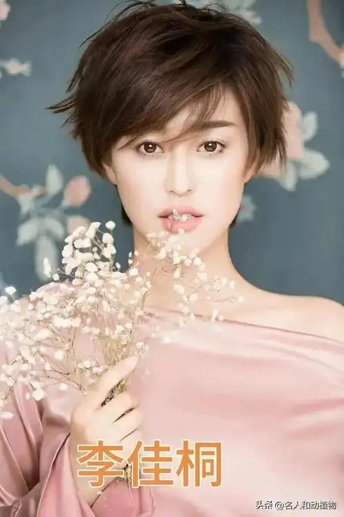 8位湖州市女演员