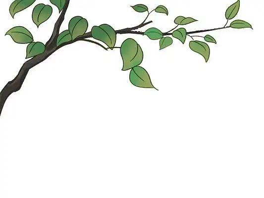 绿色手绘卡通树枝树叶元素png素材