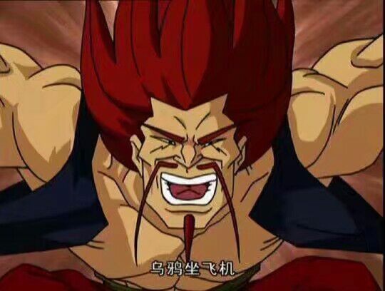 我需要一张乌鸦坐飞机的表情包