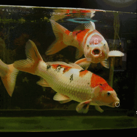 482_483gif 动态图 动图