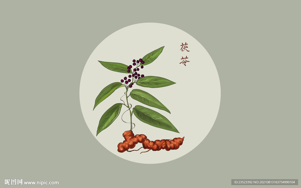 psd(cc)颜色:rgb元(cny)举报收藏立即下载关 键 词:茯苓插画 手绘茯苓