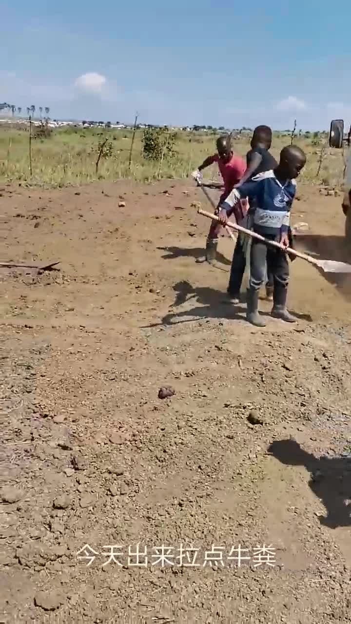在非洲没有雇佣童工这一说,拉牛粪就找这种七八岁的孩子,关键是便宜!