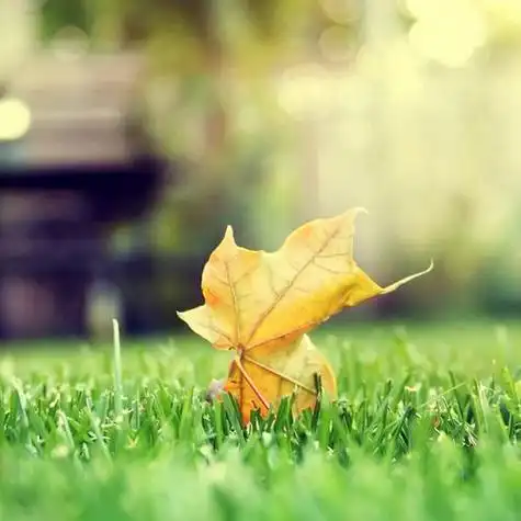 给人一种阳光的头像