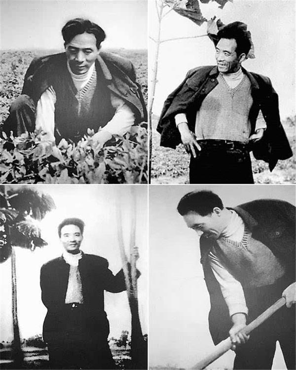 河南档案里的红色故事丨兰考县委书记焦裕禄四张照片的由来